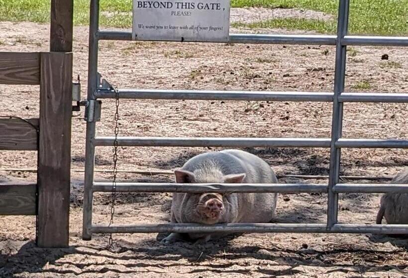 فندق Rooterville Animal Sanctuary