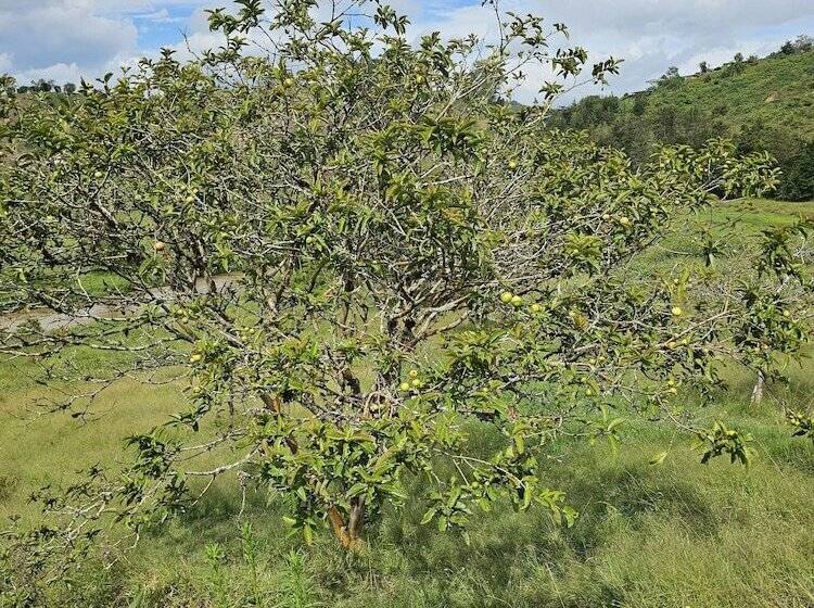 فندق ريفى Hostería Brisas Del Río