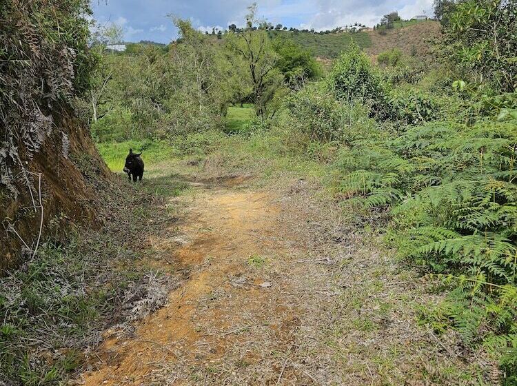 فندق ريفى Hostería Brisas Del Río