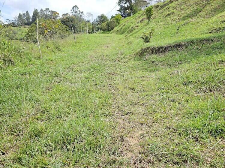 فندق ريفى Hostería Brisas Del Río
