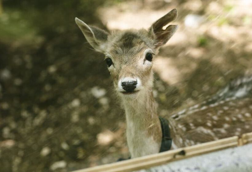 هتل روستایی Il Borgo Incantato Dependance