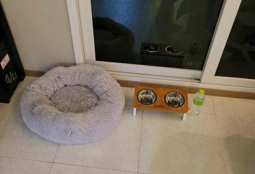 فندق Samcheok A1