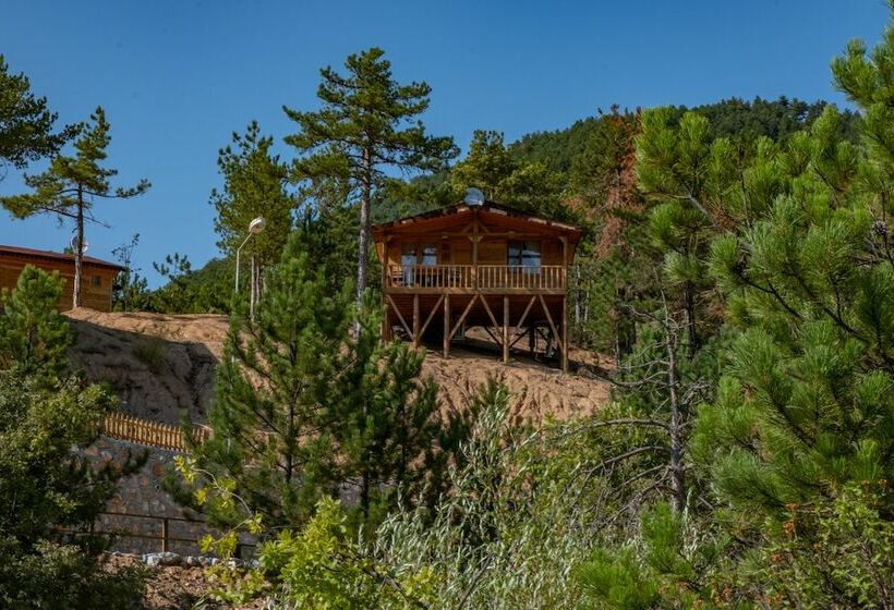 酒店 Tahtalı Gol Evleri