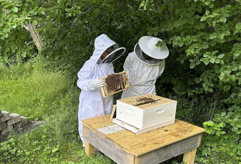 בית מלון כפרי Terramor Outdoor Resort