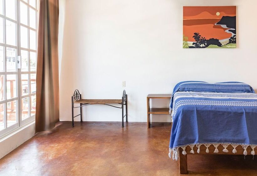 酒店 Terraza Dzahui H