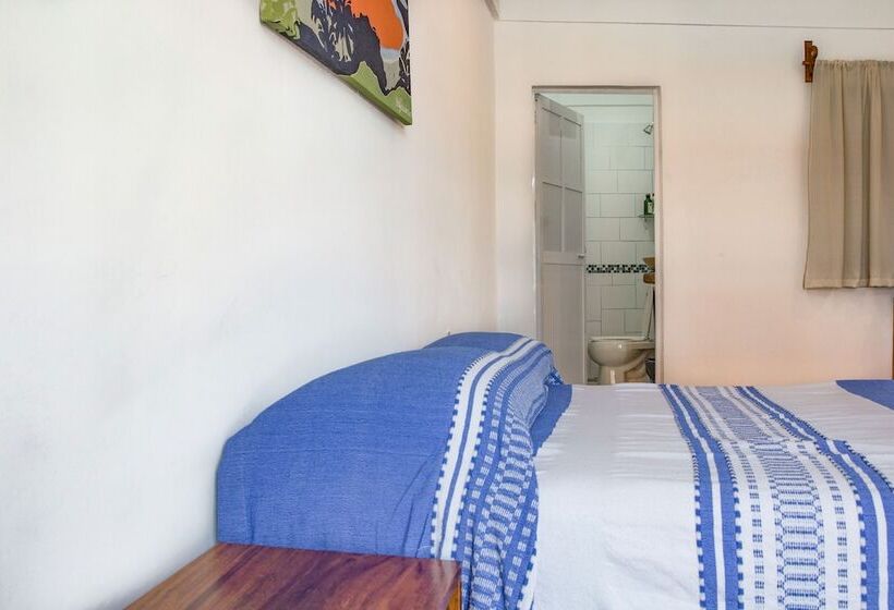 هتل Terraza Dzahui H