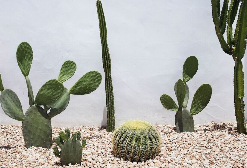 هتل Tessa S On The Beach Boutique