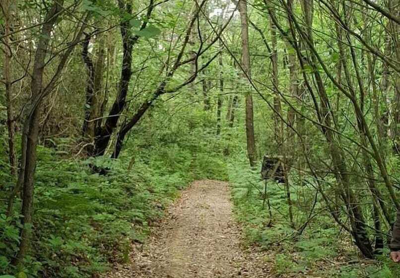 בית מלון כפרי šuma Disanje