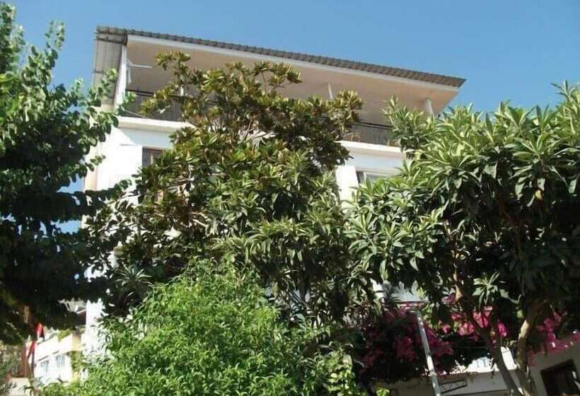 酒店 Yali Pansi̇yon