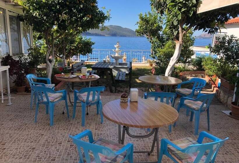 酒店 Yali Pansi̇yon