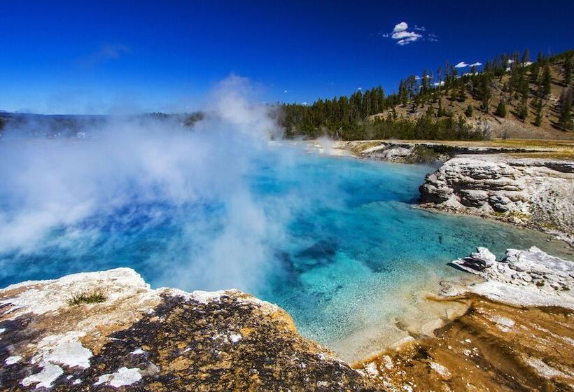 בית מלון כפרי Yellowstone Dreamin Camp