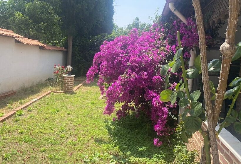 Meandros Butik Otel & Restaurant