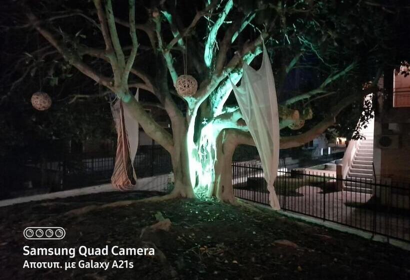 פנסיון Euphoria Complex