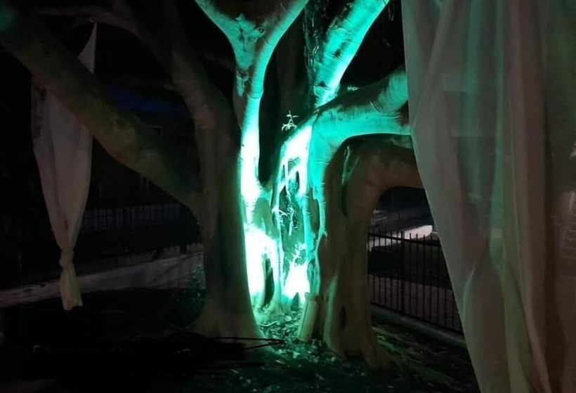 פנסיון Euphoria Complex