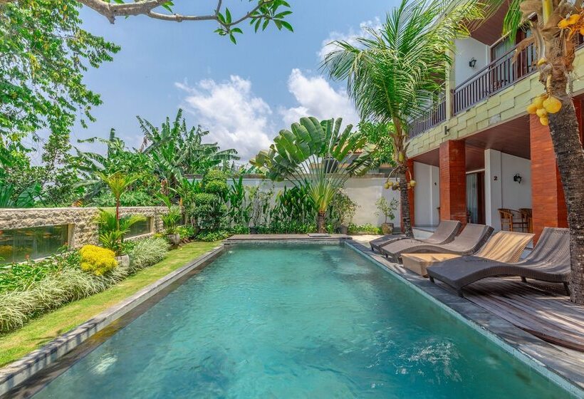 פנסיון Sedana Cottage