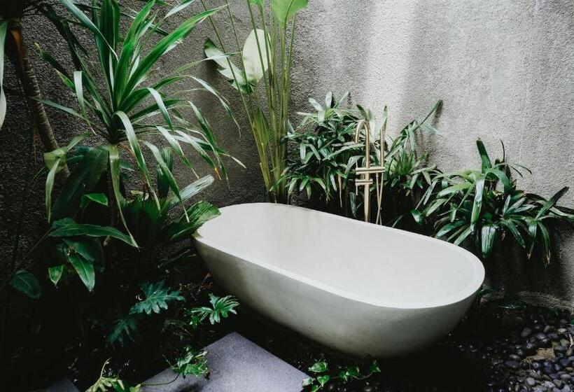 Porter Hotel   Surf & Yoga Retreat