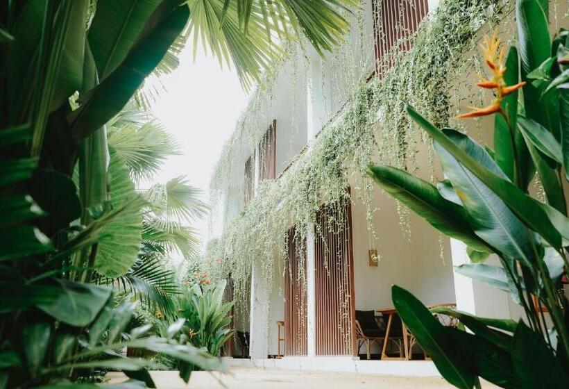 Porter Hotel   Surf & Yoga Retreat