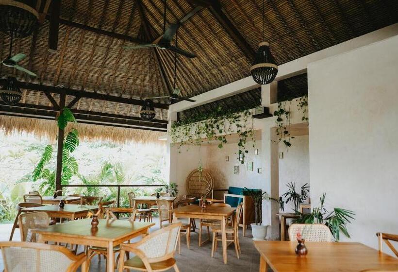 Porter Hotel   Surf & Yoga Retreat