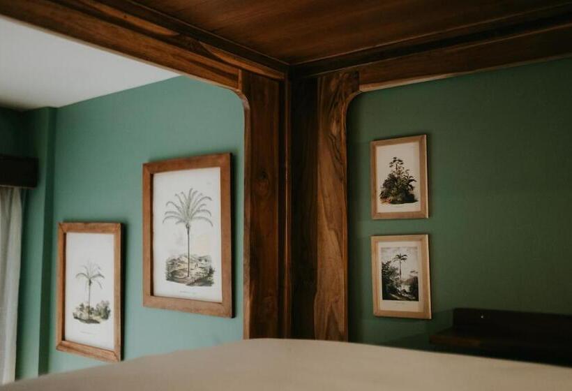 Porter Hotel   Surf & Yoga Retreat