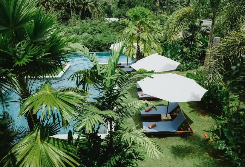 Porter Hotel   Surf & Yoga Retreat