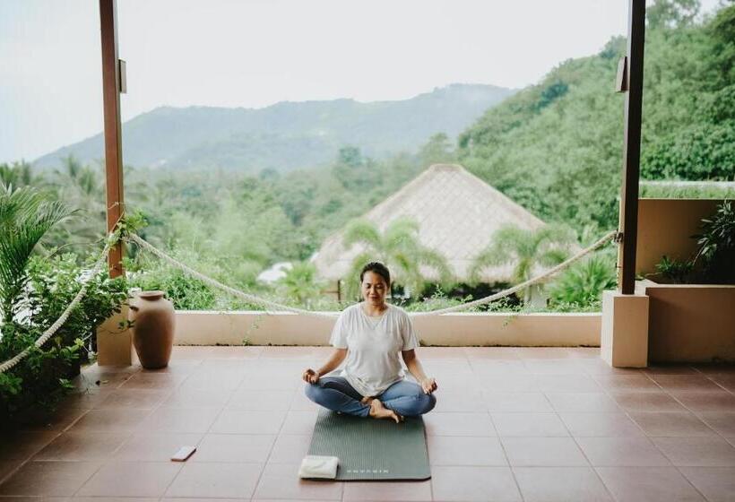 Porter Hotel   Surf & Yoga Retreat