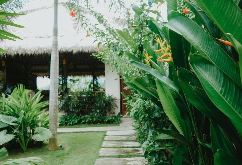 Porter Hotel   Surf & Yoga Retreat