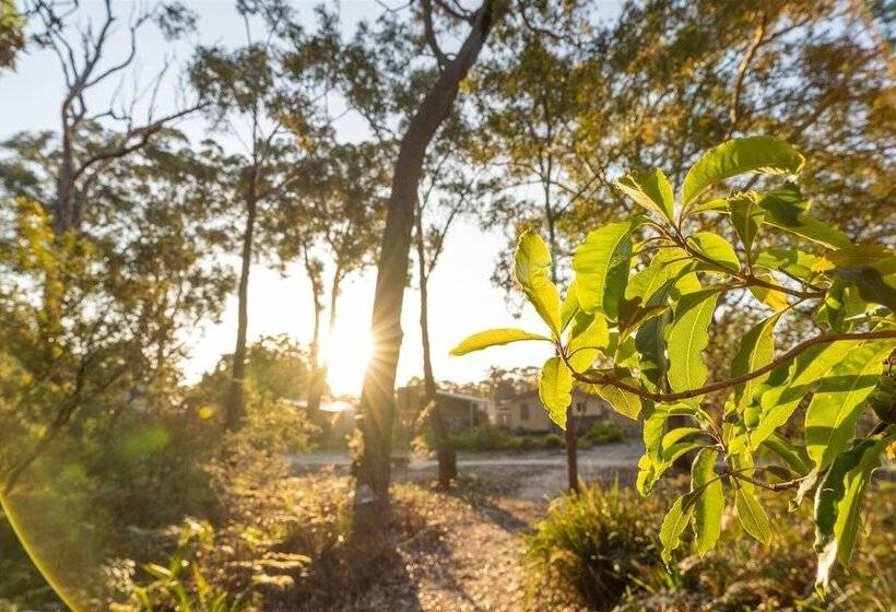 אתר נופש Tasman Holiday Parks   Myola