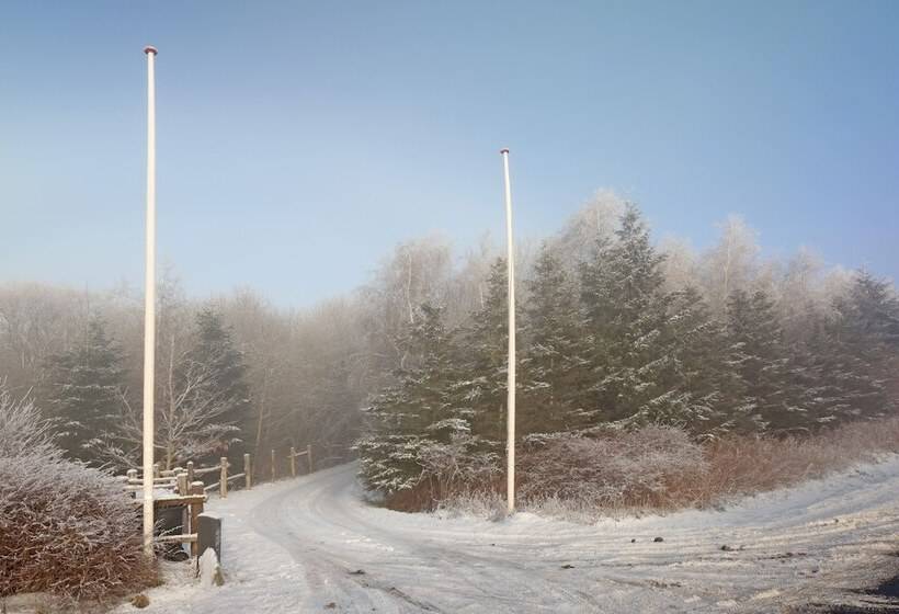 Storms Bed & Breakfast