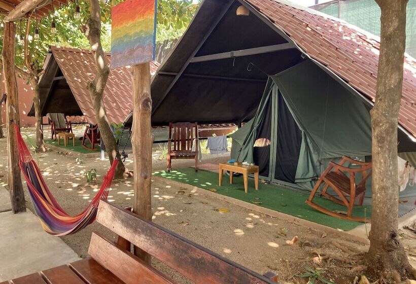 Tamahostel & Glamping