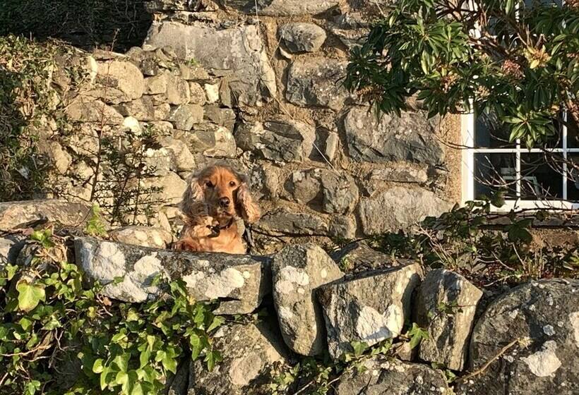 Beautiful Cottage Near Harlech With Ocean Views