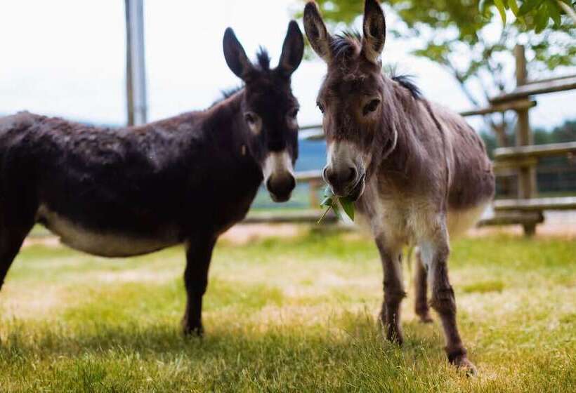 민박 Abbey Road Farm
