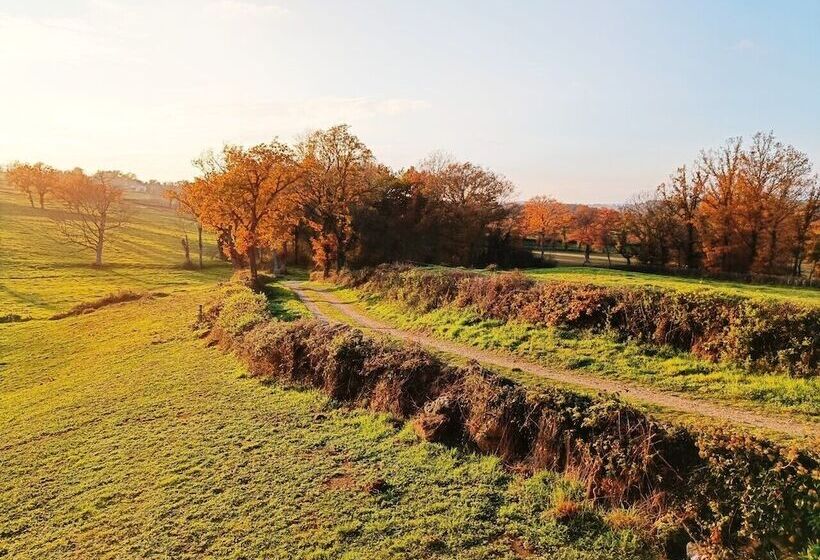 مبيت وإفطار Christine Scuflaire