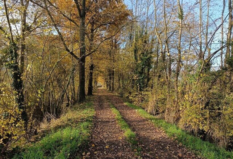 مبيت وإفطار Christine Scuflaire