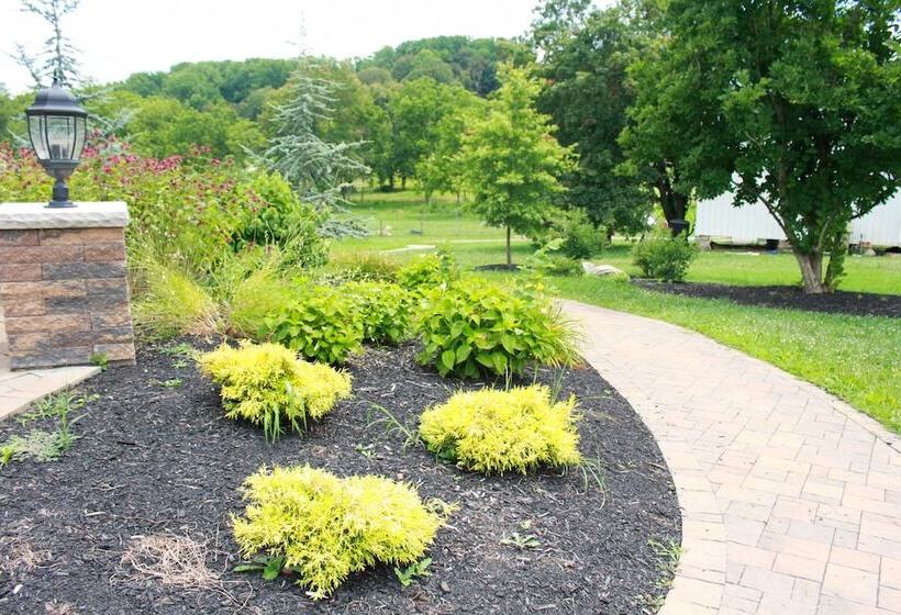 مبيت وإفطار Mary S Land Farm