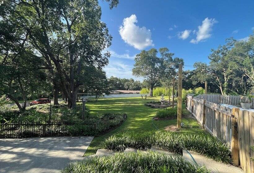 مبيت وإفطار Nine Columns