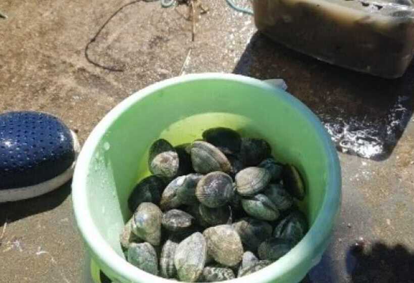 Daebudo I Am Pension