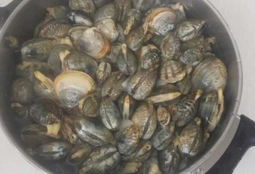 Daebudo I Am Pension