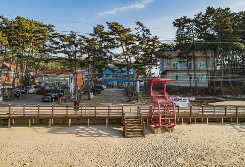 Daebudo I Am Pension