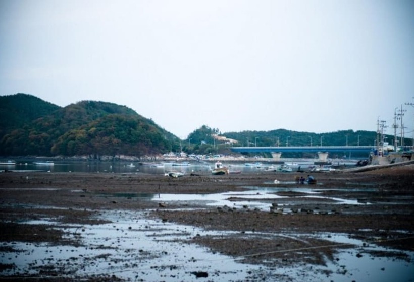 Daebudo Ocean Ville Pension