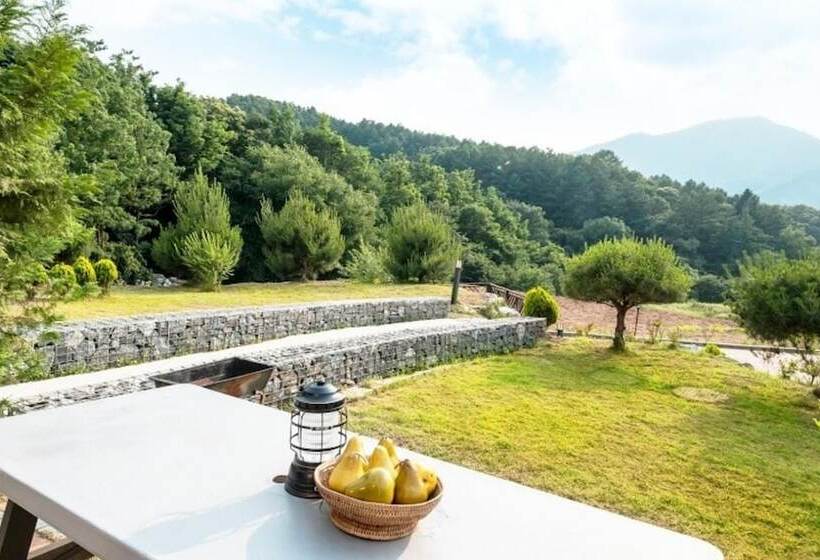 Gapyeong Cheonseom Pension