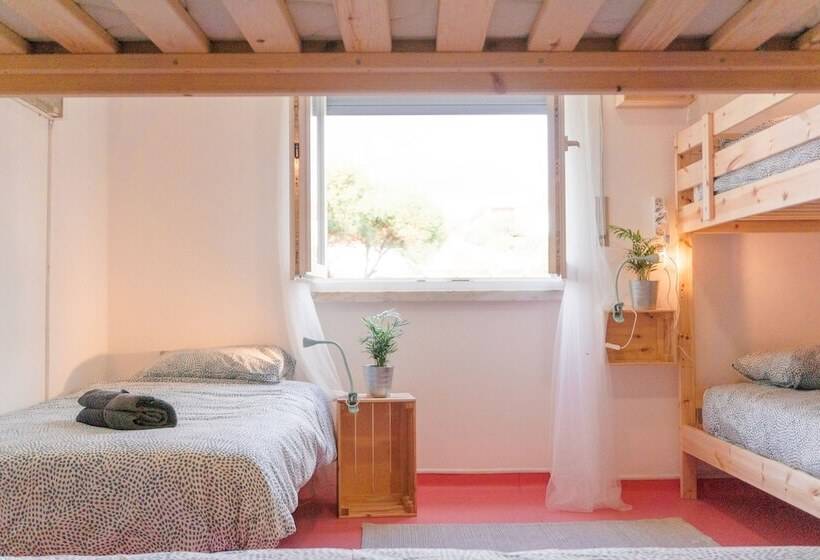 Hospedium República Surf House Hostel