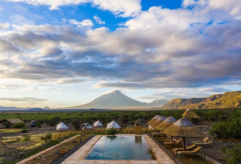 酒店 Africa Safari Lake Natron Camping