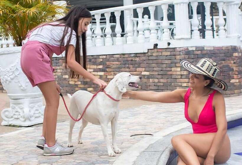 فندق Ankara Resort Boutique