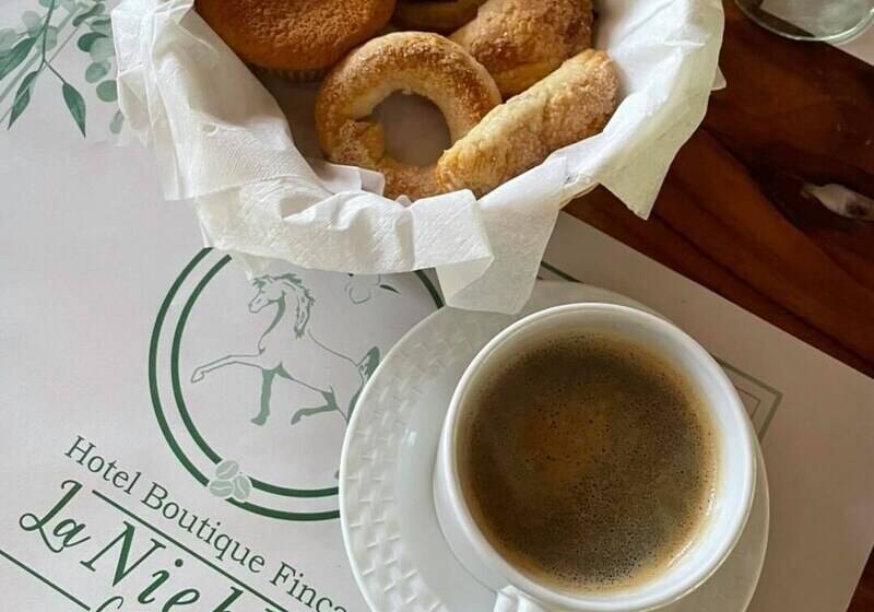 酒店 Boutique Finca De La Niebla Coatepec