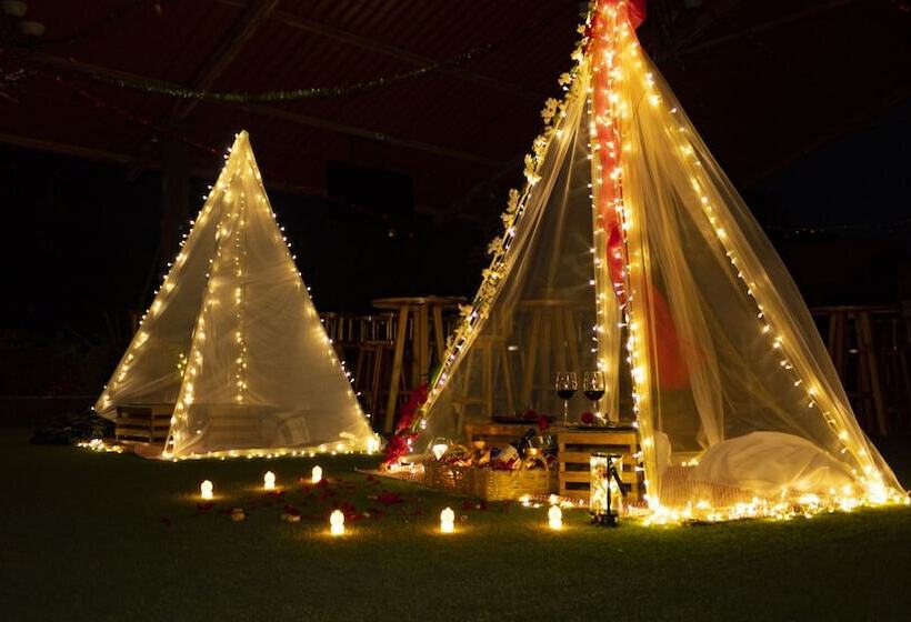 فندق Cabañas Los Agaves