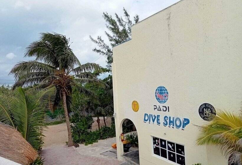 Отель Casa Cenote