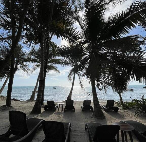 Отель Casa Cenote