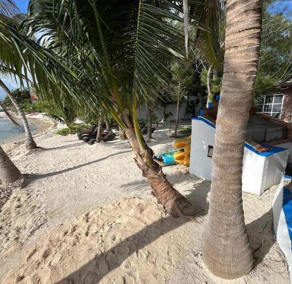 Отель Casa Cenote