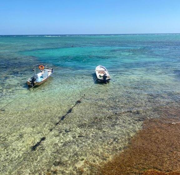 Отель Casa Cenote