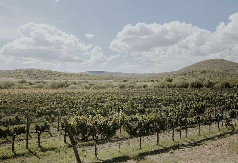 호텔 Casa De Quino